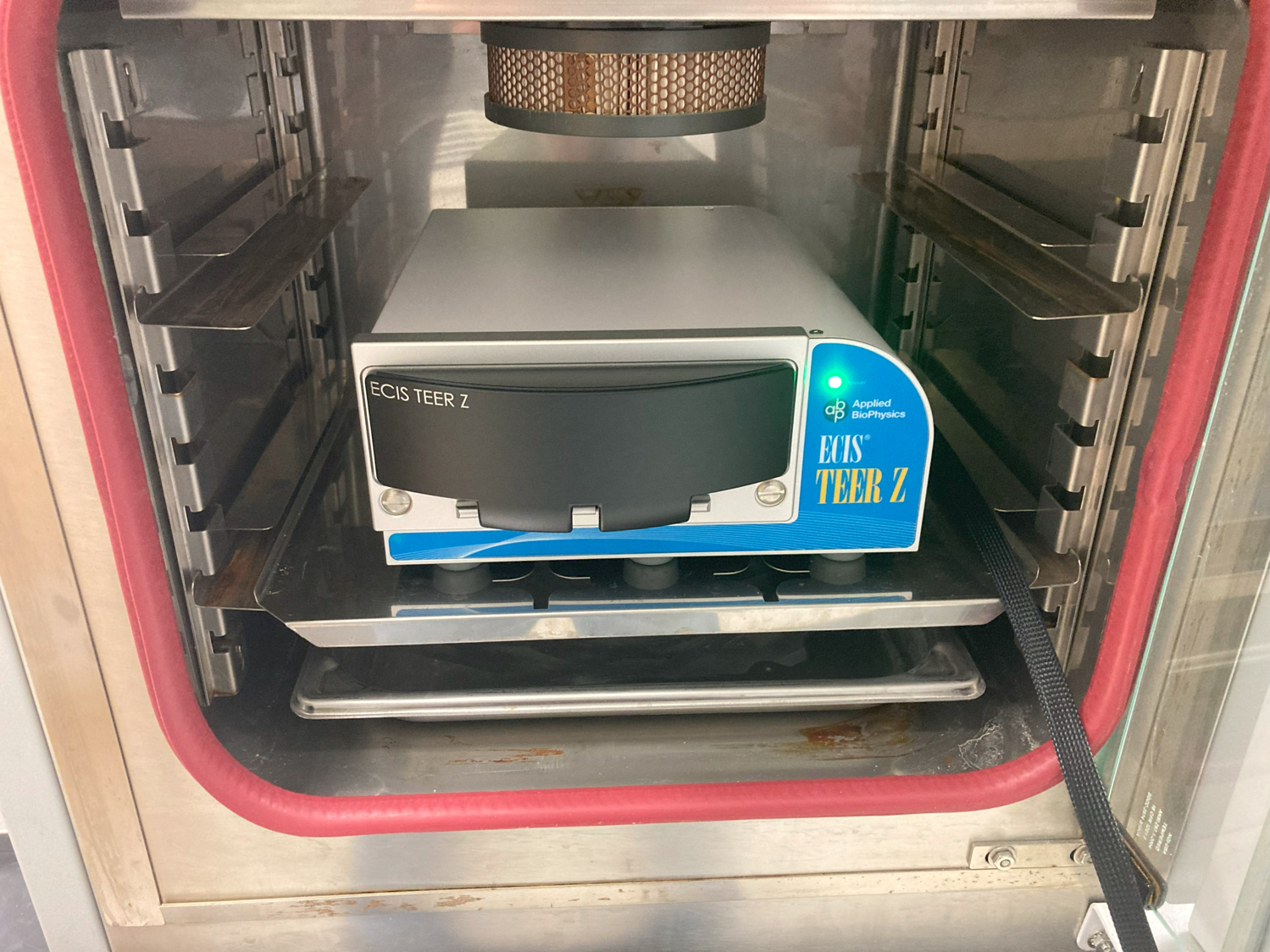 請?zhí)顚憳?biāo)題